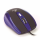 MOUSE NGS 800/1600 DPI 5 BOTOES TICKBLUE C/FIO